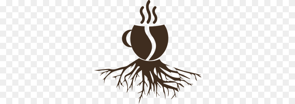 Coffee Plant, Root, Person Png Image