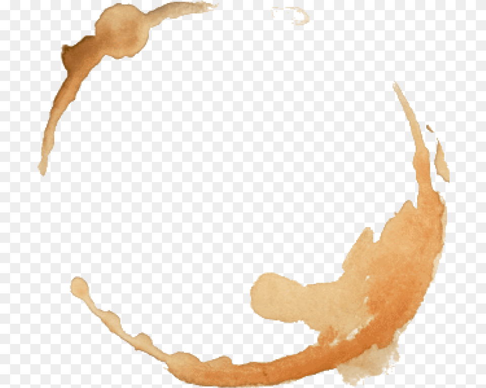 Coffee, Stain, Animal, Bird Png Image