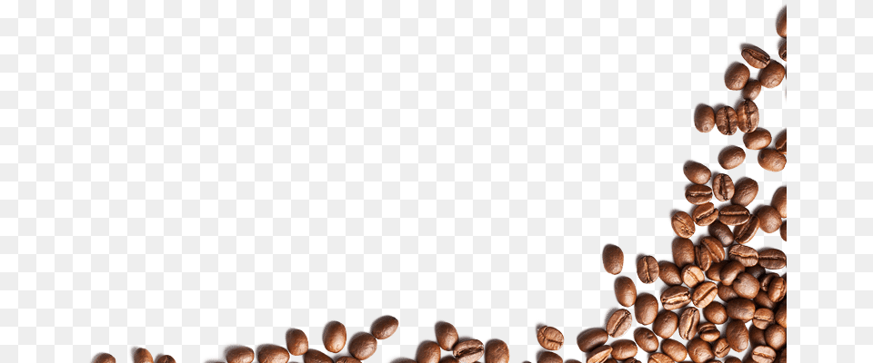 Coffee Bean, Beverage, Person, Coffee Beans Free Transparent Png