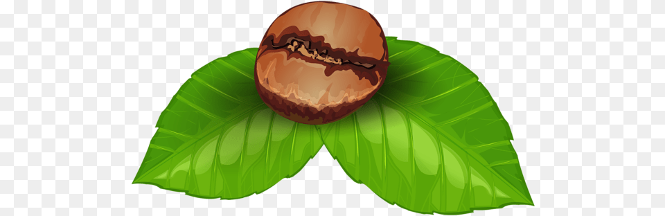 Coffee Bean Clipart Image Coffee Bean Clipart, Food, Leaf, Nut, Plant Png