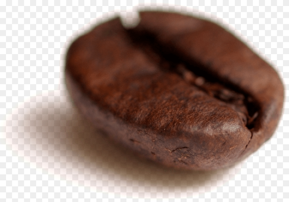 Coffee Bean Single Coffee Bean, Food, Produce, Beverage Png Image
