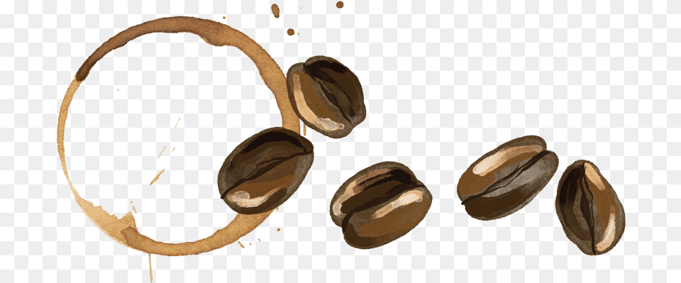 Coffee Bean Stain White Walnut, Food, Nut, Plant, Produce Free Transparent Png