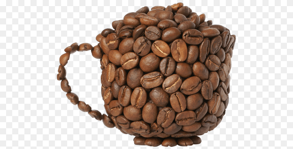 Coffee Beans, Beverage, Fungus, Plant, Coffee Beans Png Image