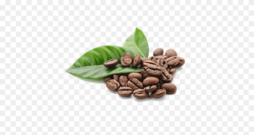 Coffee Beans, Beverage, Coffee Beans, Plant Free Transparent Png