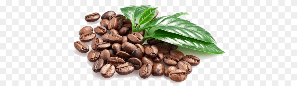 Coffee Beans, Burger, Food, Beverage, Coffee Beans Free Png Download