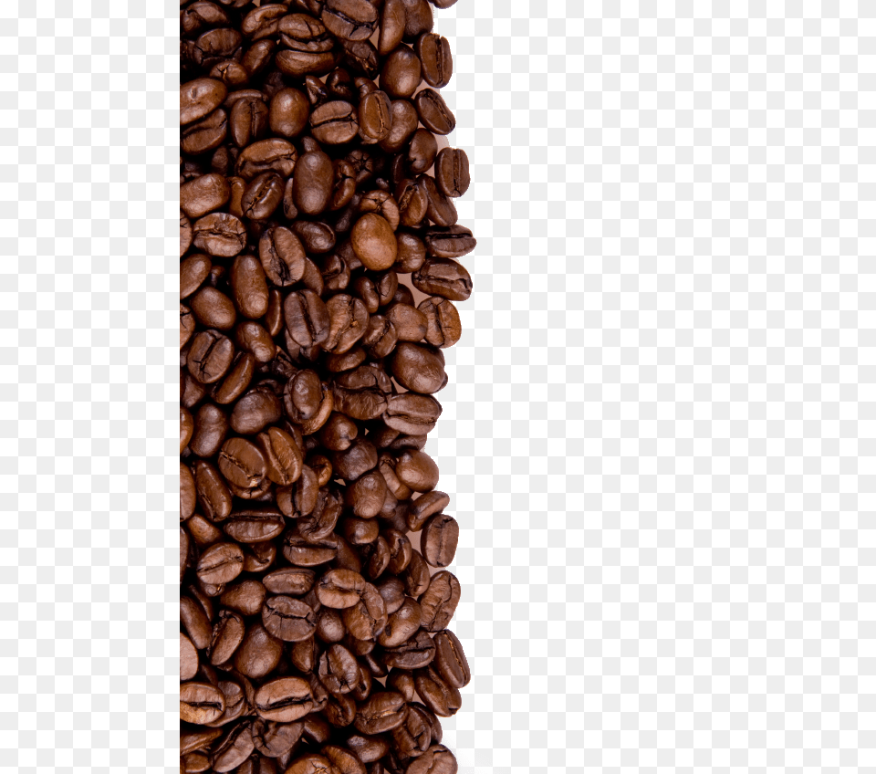 Coffee Beans, Beverage, Plant, Coffee Beans Free Png Download