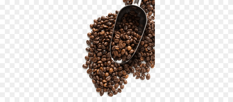 Coffee Beans, Beverage, Coffee Beans Png Image