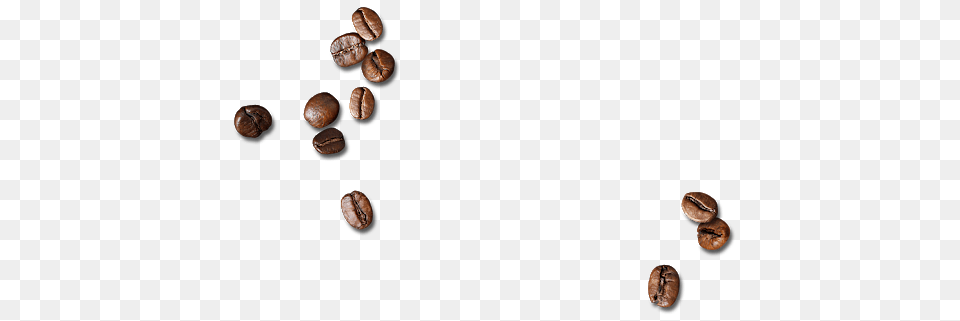 Coffee Beans, Beverage, Fungus, Plant Free Png