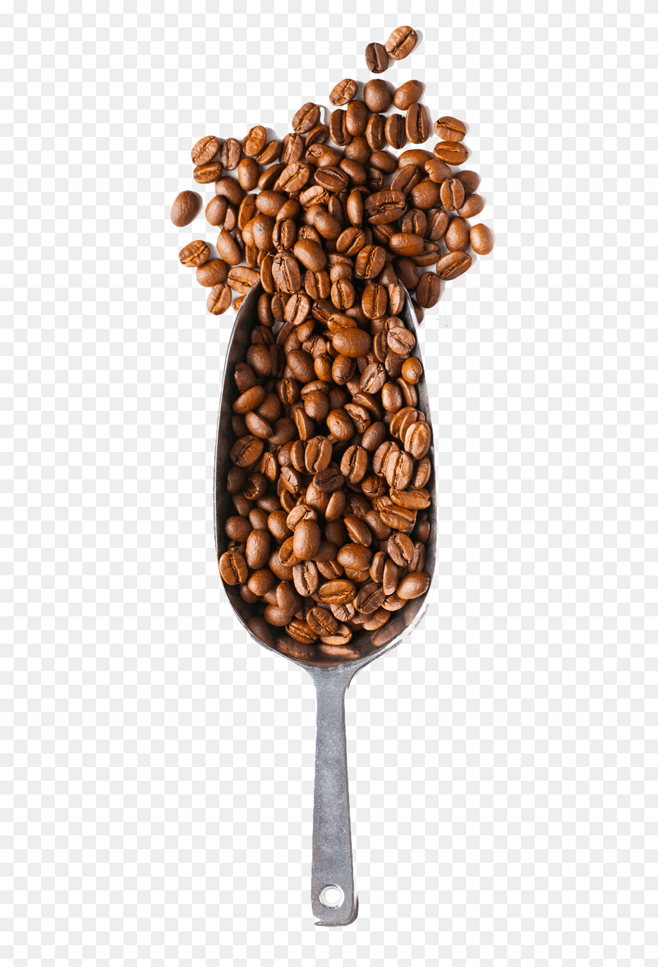 Coffee Beans And Spoon Download Coffee Beans Spoon, Beverage, Plant Png Image
