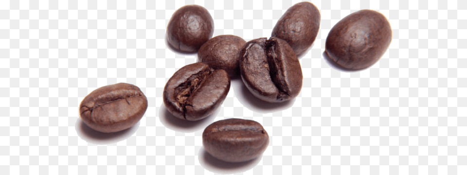 Coffee Beans Chocolate Coffee Beans, Bread, Food, Beverage, Fungus Free Transparent Png