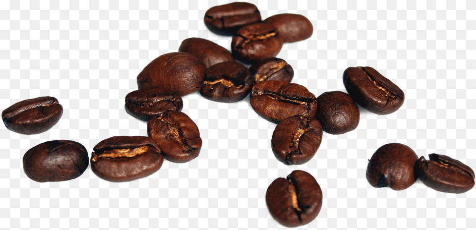 Coffee Beans Coffee Beans Photo Coffee Bean High Resolution, Beverage, Animal, Insect, Invertebrate Free Png Download
