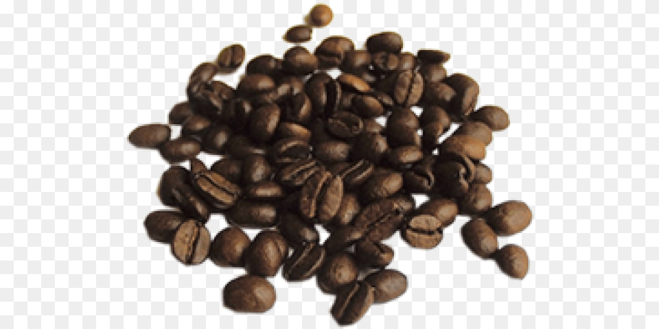 Coffee Beans Download Quality Of Coffee, Beverage, Animal, Mammal, Dog Free Transparent Png