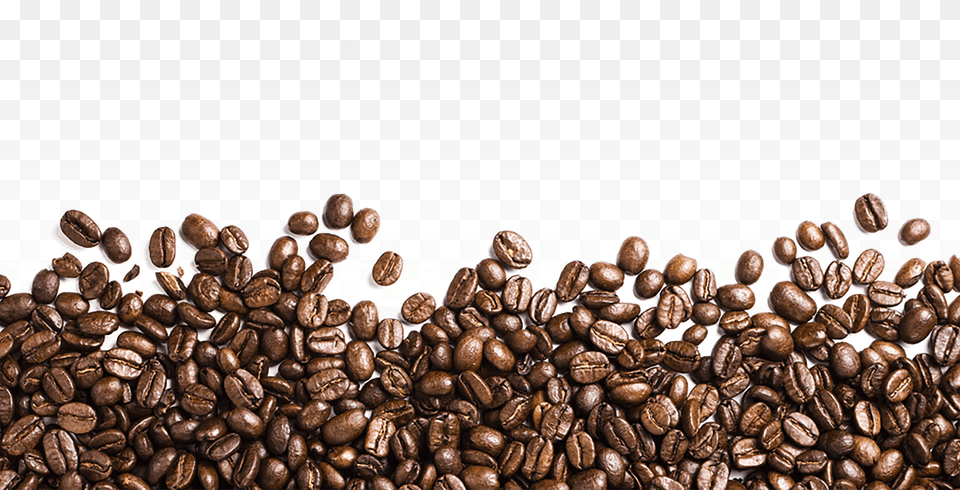 Coffee Beans Footer, Beverage, Coffee Beans Free Transparent Png
