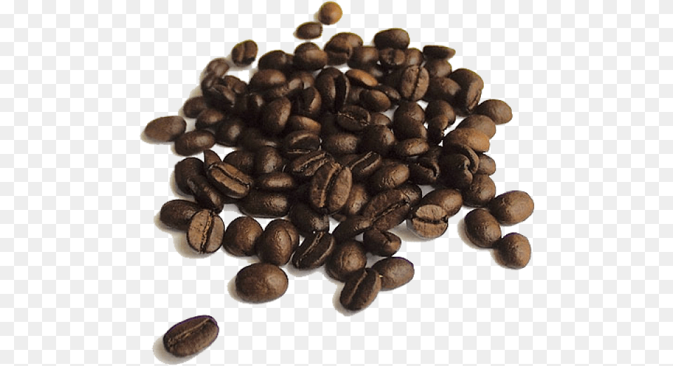 Coffee Beans Free Download Quality Of Coffee Beans, Beverage, Coffee Beans, Fungus, Plant Png