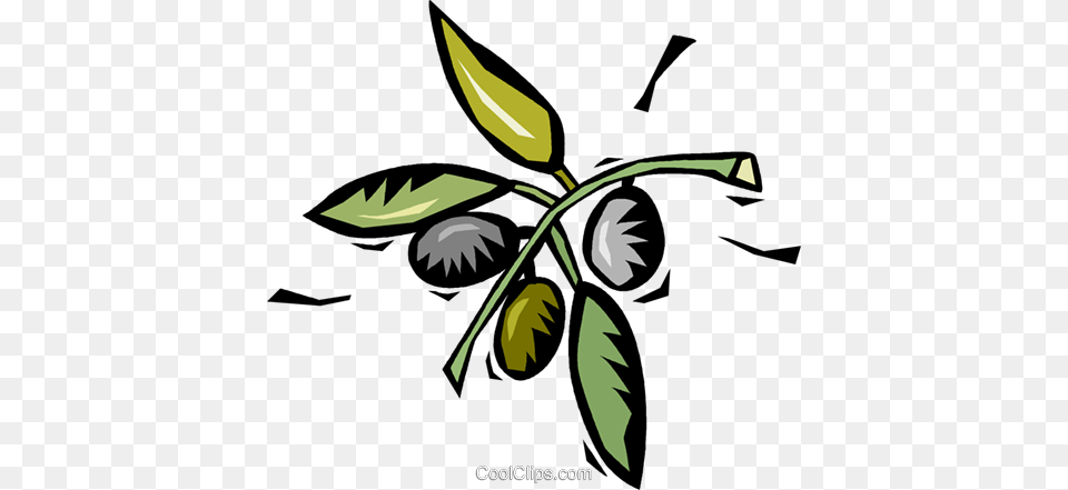 Coffee Beans Growing On The Plant Royalty Vector Clip Art, Leaf, Food, Fruit, Produce Free Png Download