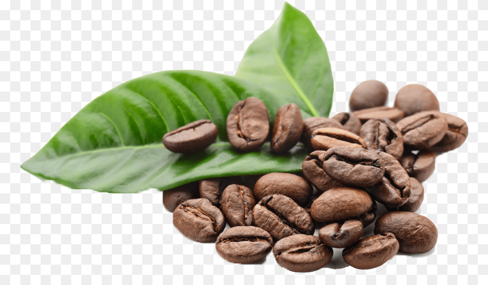 Coffee Beans Hd Transparent Background Coffee Bean, Beverage, Food, Bread, Coffee Beans Png