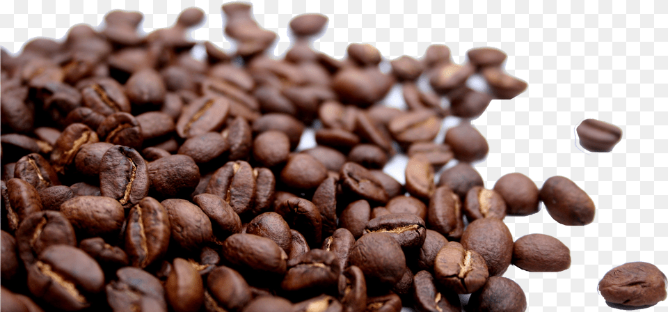 Coffee Beans Hd Wallpaper Transparent Background Coffee Beans, Beverage, Bread, Food Png
