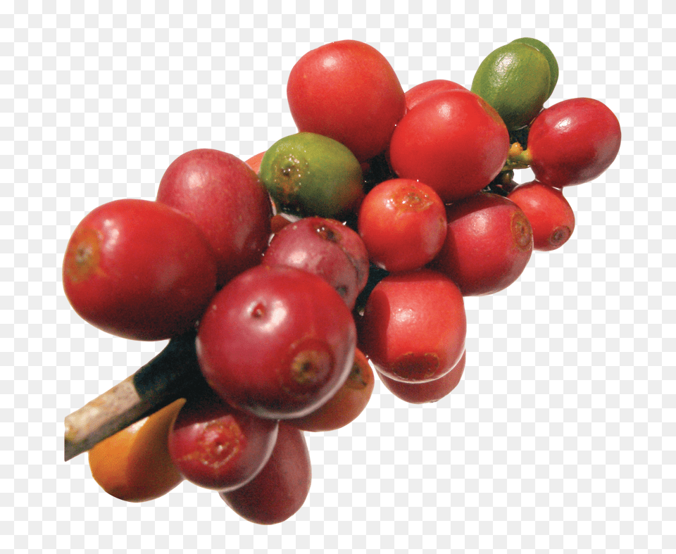 Coffee Beans Image, Food, Fruit, Plant, Produce Free Transparent Png