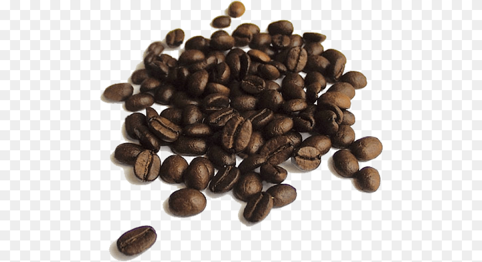 Coffee Beans Images Coffee Beans, Beverage, Coffee Beans, Fungus, Plant Free Transparent Png