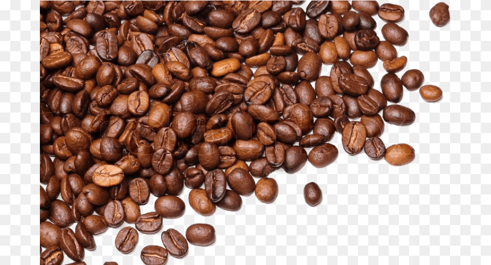 Coffee Beans Images Transparent Coffee Beans Transparent Background, Beverage, Coffee Beans, Fungus, Plant Png
