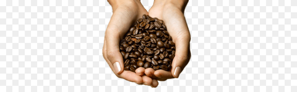Coffee Beans In Hands, Beverage, Baby, Person, Coffee Beans Free Transparent Png