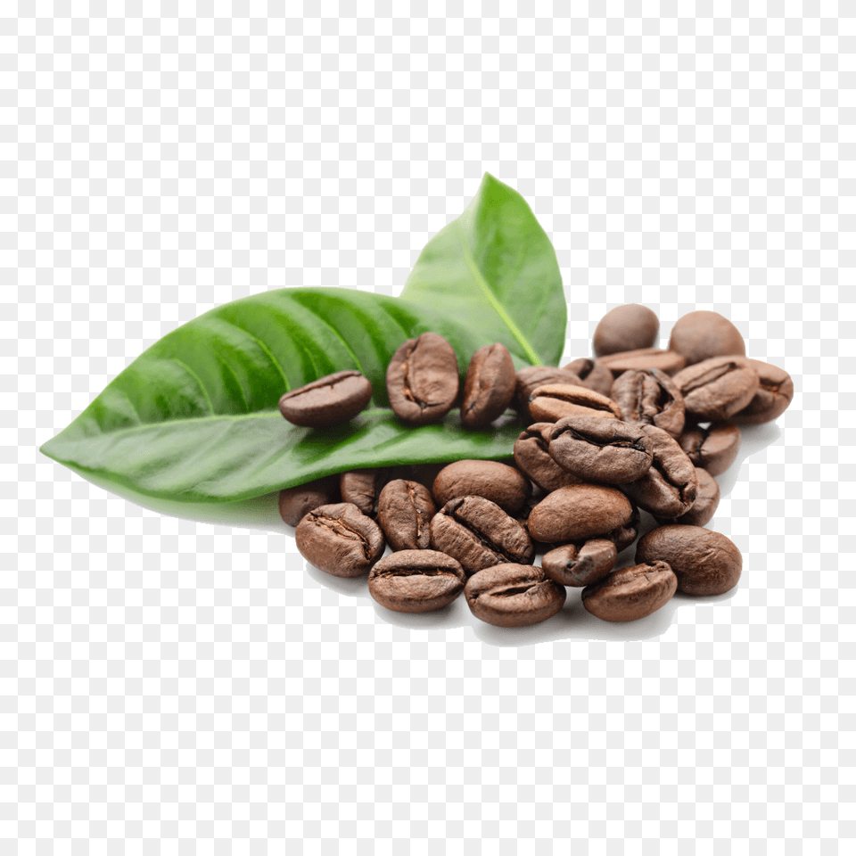 Coffee Beans Leaves, Beverage, Plant, Coffee Beans Free Png