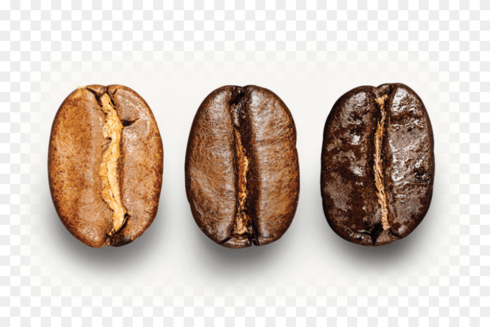 Coffee Beans Roasted Starbucks Coffee Beans, Animal, Insect, Invertebrate, Beverage Free Png