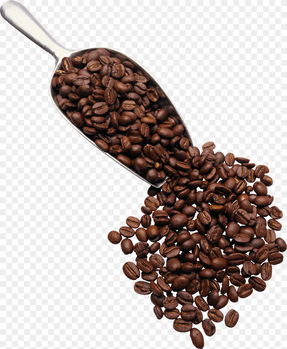 Coffee Beans Scoop, Gray Free Png