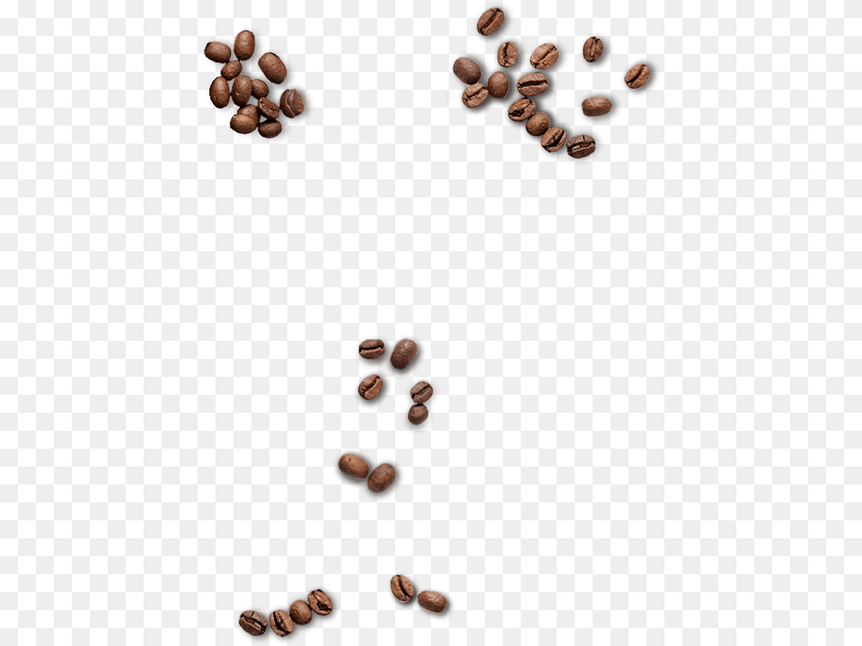 Coffee Beans Seed Free Transparent Png