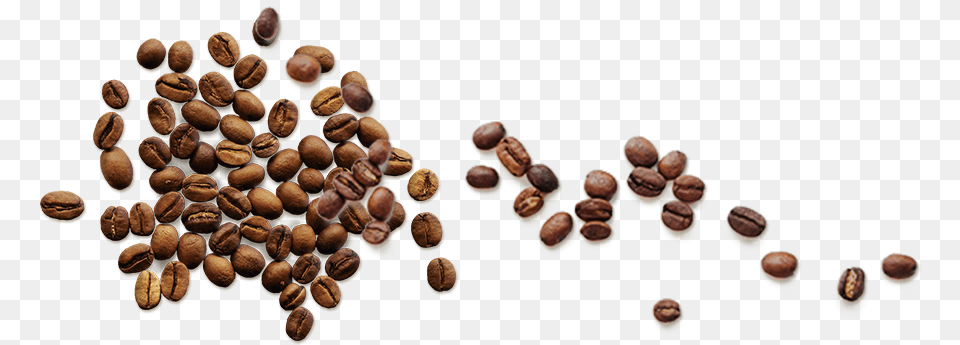 Coffee Beans Top, Food, Produce, Nut, Plant Png Image