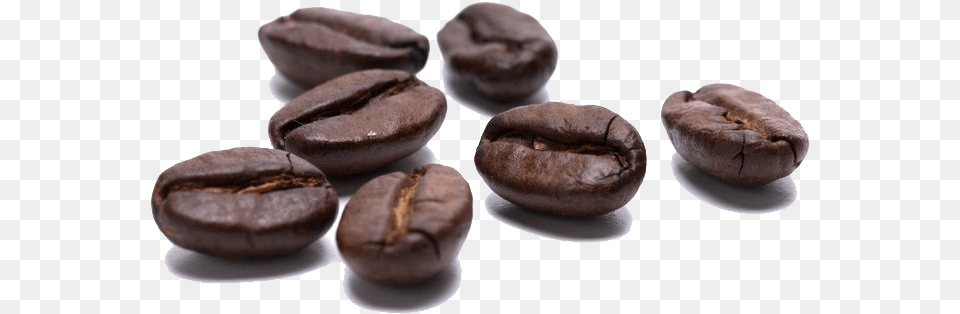 Coffee Beans Transparent Transparent Coffe Bean Beverage, Coffee Beans, Fungus, Plant Free Png