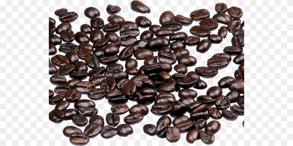 Coffee Beans Transparent Images Coffee Bean, Beverage, Fungus, Plant Png