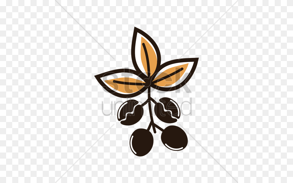 Coffee Beans Vector Anise, Food, Spice Png Image