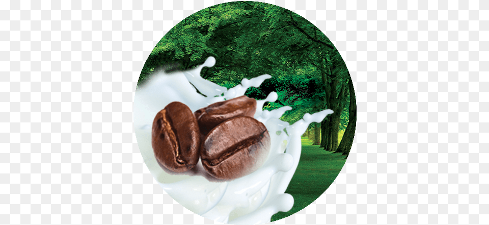 Coffee Coffee, Beverage, Milk Png Image