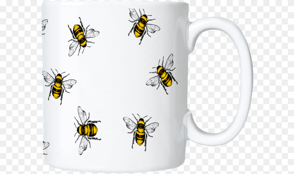 Coffee Cup, Animal, Bee, Insect, Invertebrate Png Image