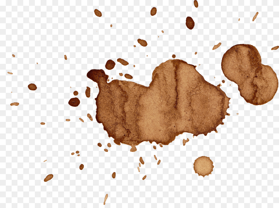 Coffee Cup Stain, Fungus, Plant Free Transparent Png