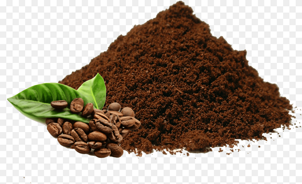 Coffee Doesn39t Exist In The Shape That We Are Used Arabica Coffee Seed Oil 100 Pure Natural, Soil, Beverage Png Image