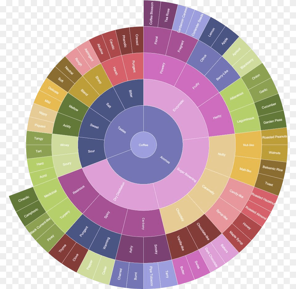 Coffee Flavor Wheel Describe Coffee, Disk, Spiral Free Png Download
