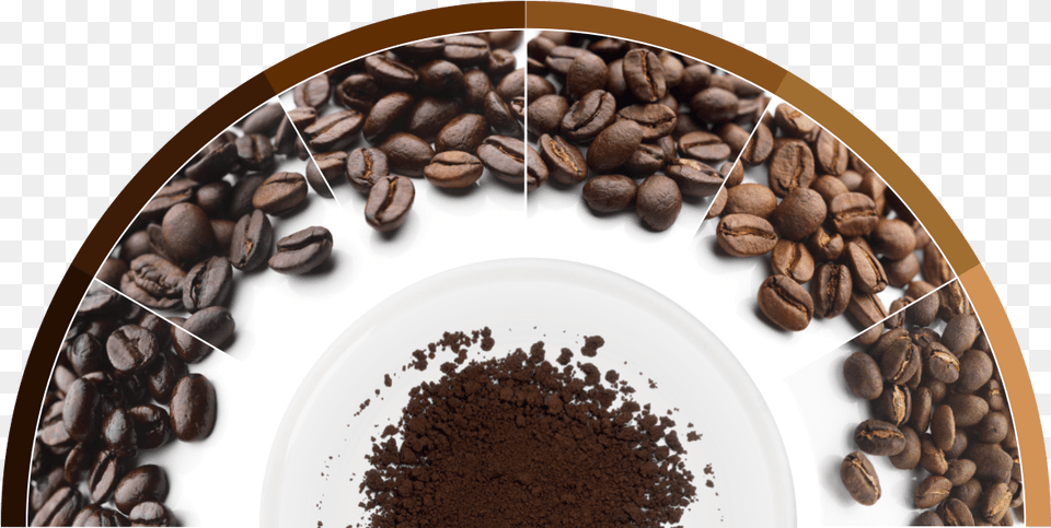 Coffee Flavour Wheel, Plate, Beverage, Cup Png Image