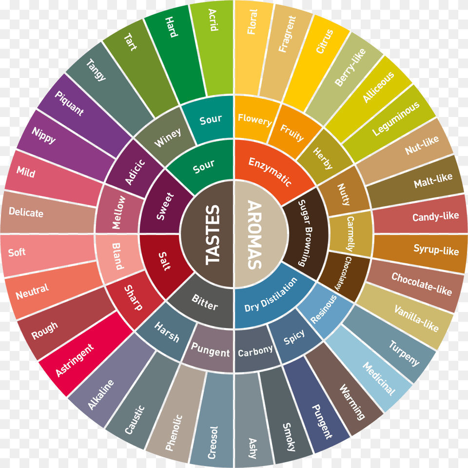 Coffee Flavour Wheel Ruota Delle Emozioni Italiano, Disk, Spiral Free Png Download