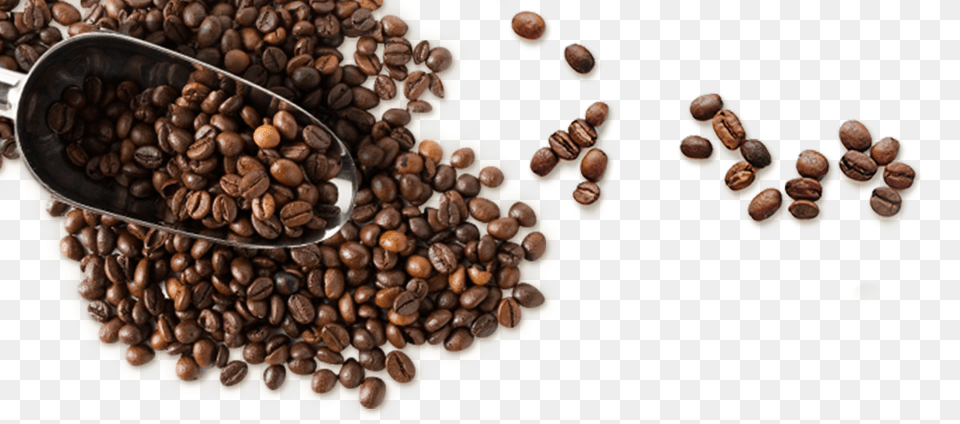 Coffee Left Spoon, Beverage, Coffee Beans Free Transparent Png