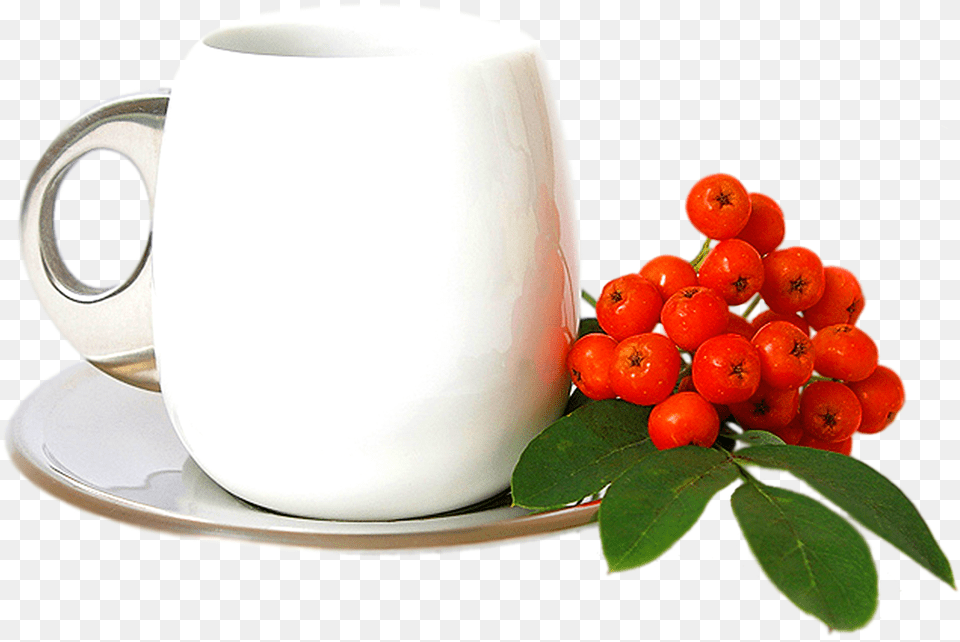 Coffee Photos Transparan Cup, Saucer Free Png
