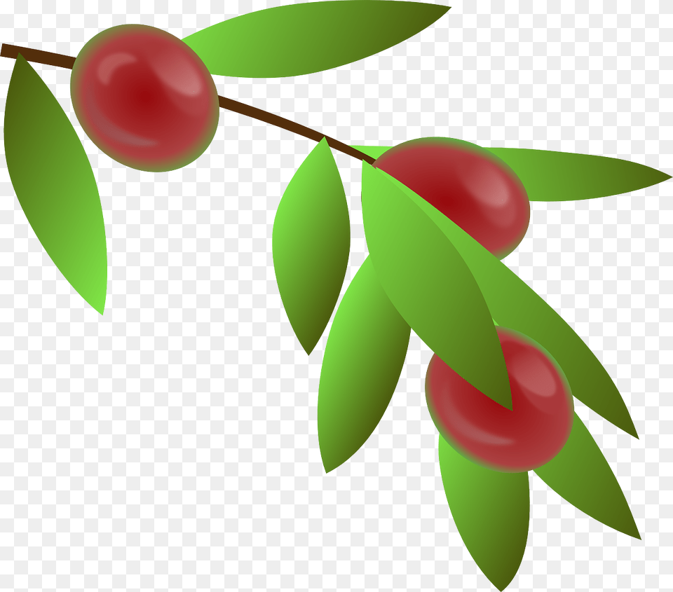 Coffee Plant Clipart Botanical, Food, Fruit, Produce, Cherry Free Png