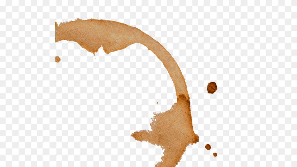 Coffee Ring The Design Cafe, Stain Free Png
