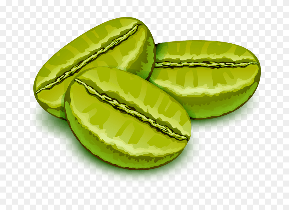 Coffee Roasting, Green Png