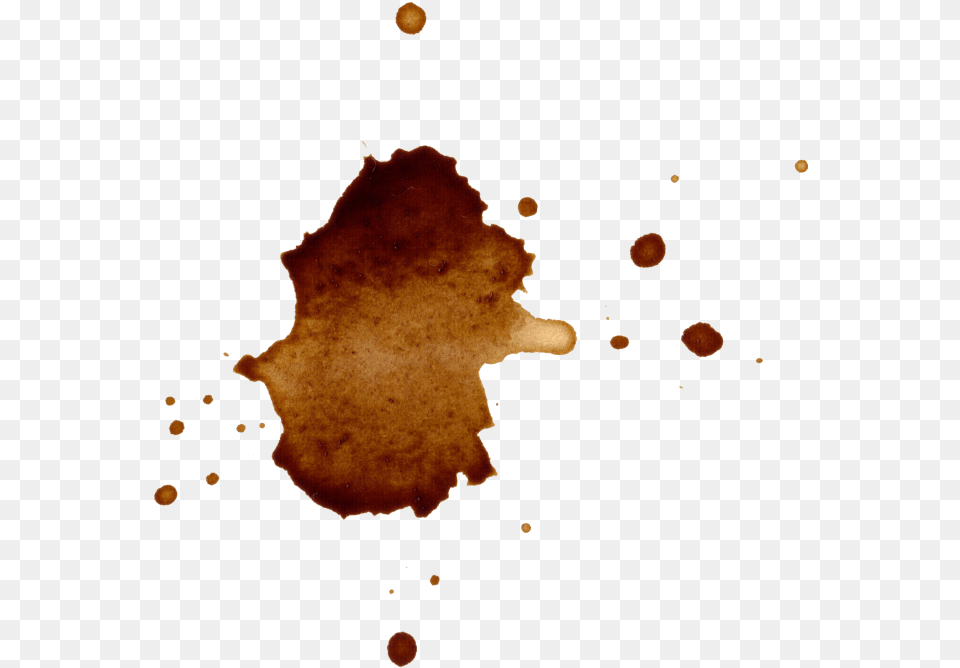 Coffee Splatter, Stain, Fungus, Plant Free Png