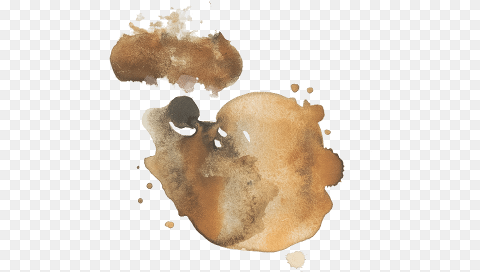 Coffee Splatter Stains Stain, Person, Face, Head Png Image