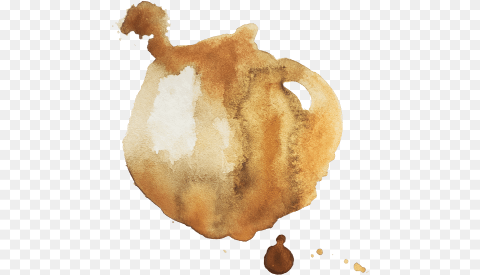 Coffee Splatter Stains Watercolor Paint, Stain, Animal, Bear, Mammal Png Image