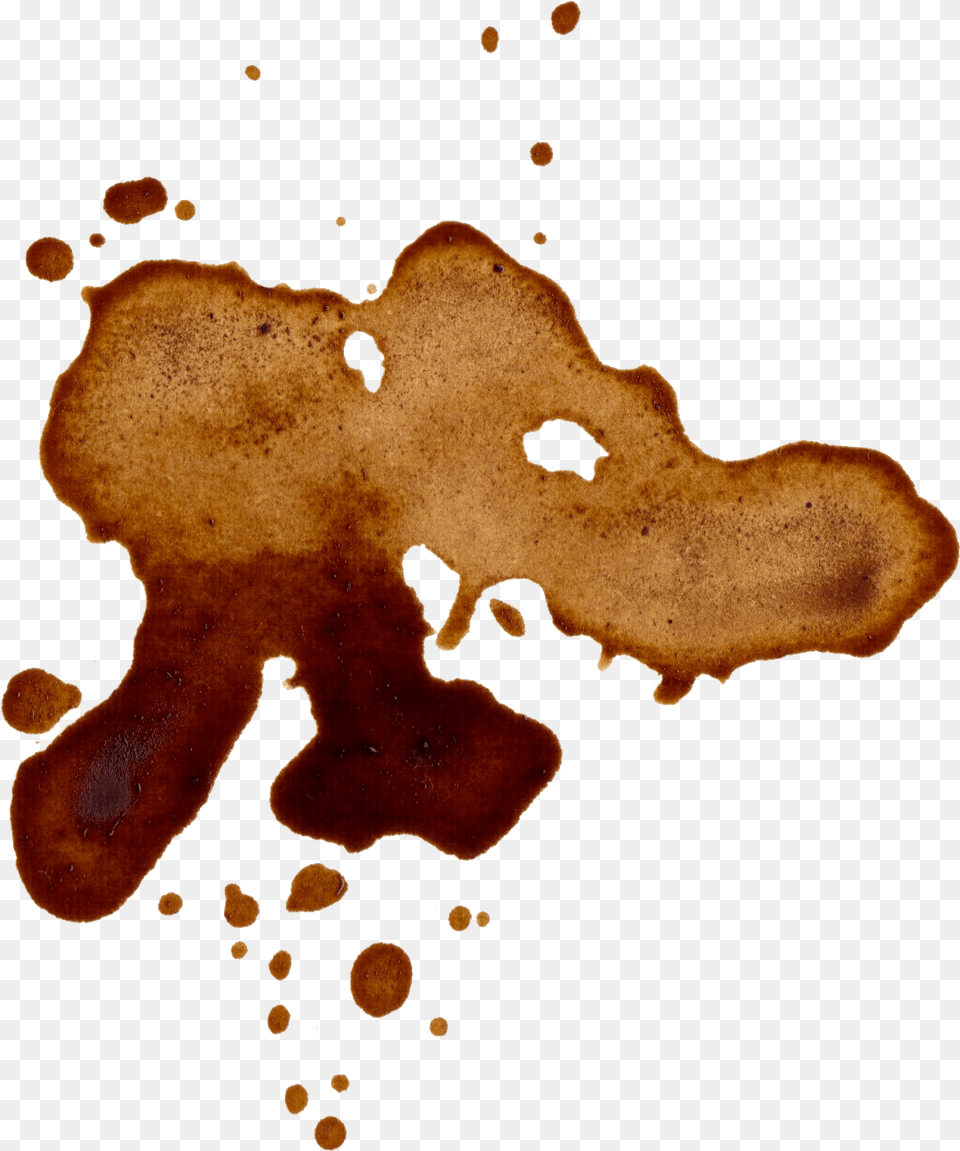 Coffee Stain, Fungus, Plant Png Image