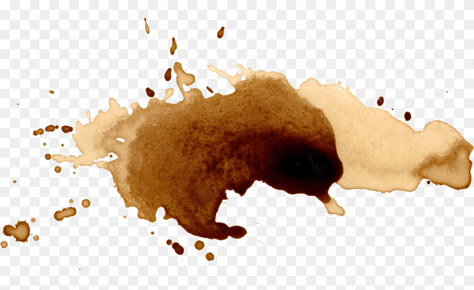 Coffee Stains Splatter Watercolor Coffee Stain, Animal, Mammal, Pig Free Png Download
